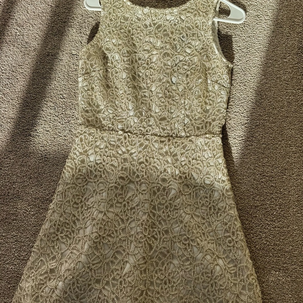 RSVP Elegant Lace Sleeveless Dress